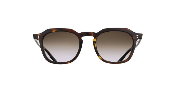 Tortoise Shell with Brown Graded