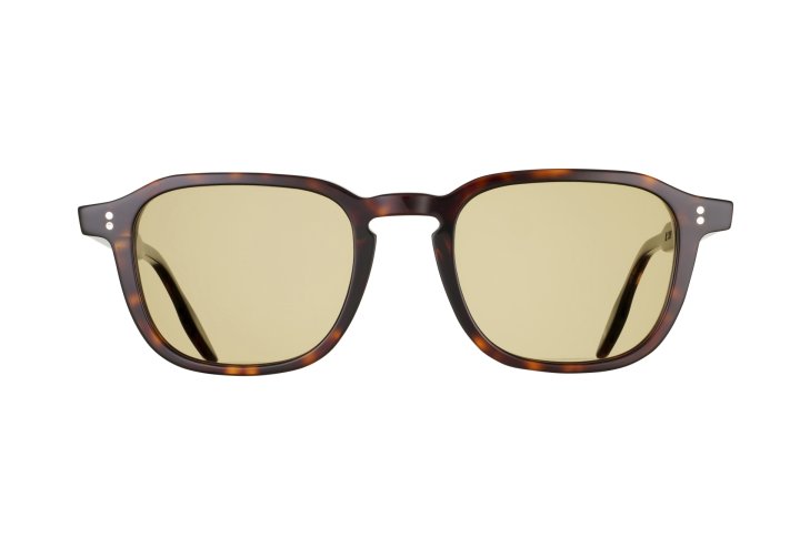 Dark Tort with Mustard