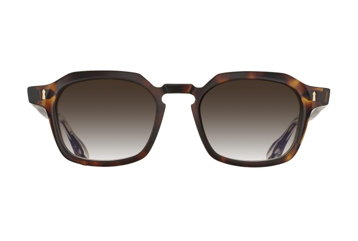 Light Tortoise with Grey Graded