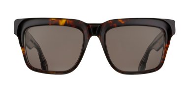 Grey Tortoiseshell