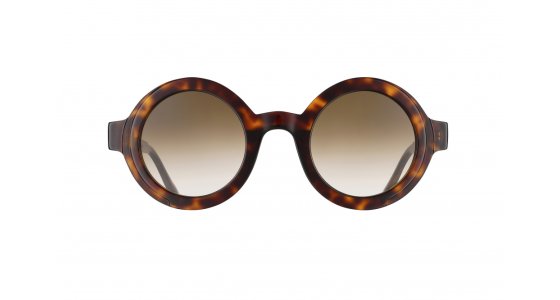 Tortoise Shell with Brown
