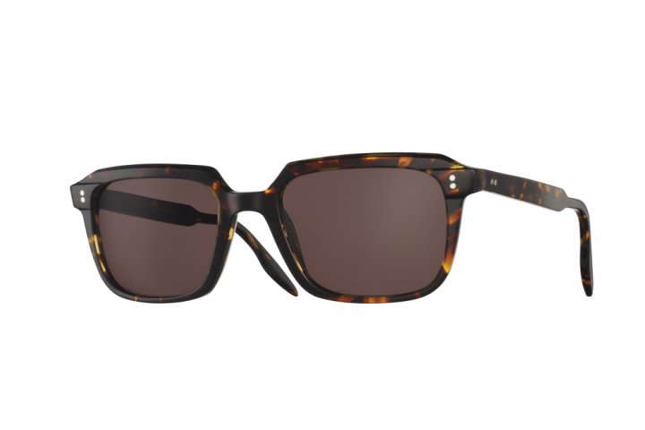 Dark Tort with Brown