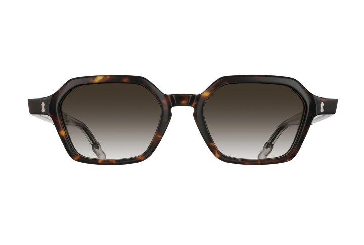 Light Tortoise with Brown Graded