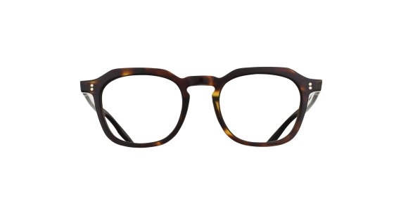 Tortoise Shell