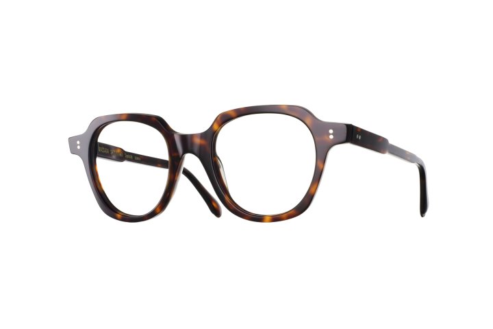 Tortoise Shell